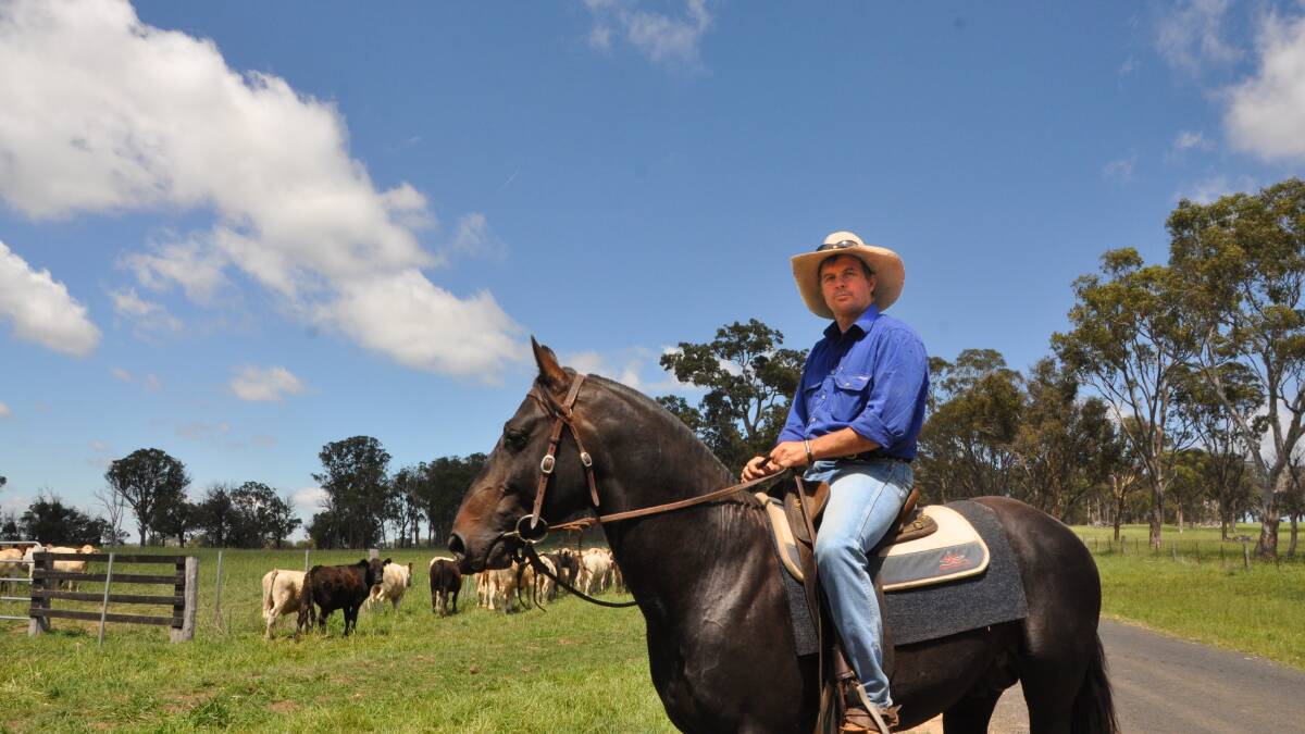 Record cattle prices passing muster