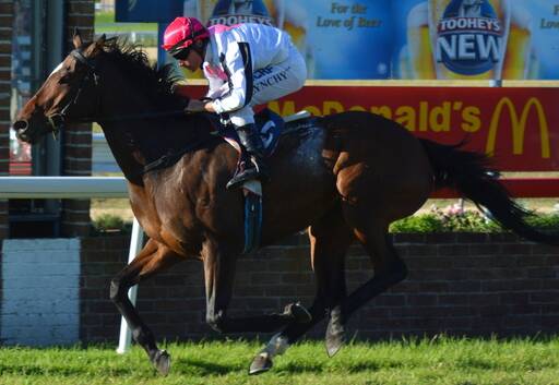 DOING IT EASY: Grande Zariz is eased up over the line at a race in Armidale earlier this year. The gelding is in race six on Monday.