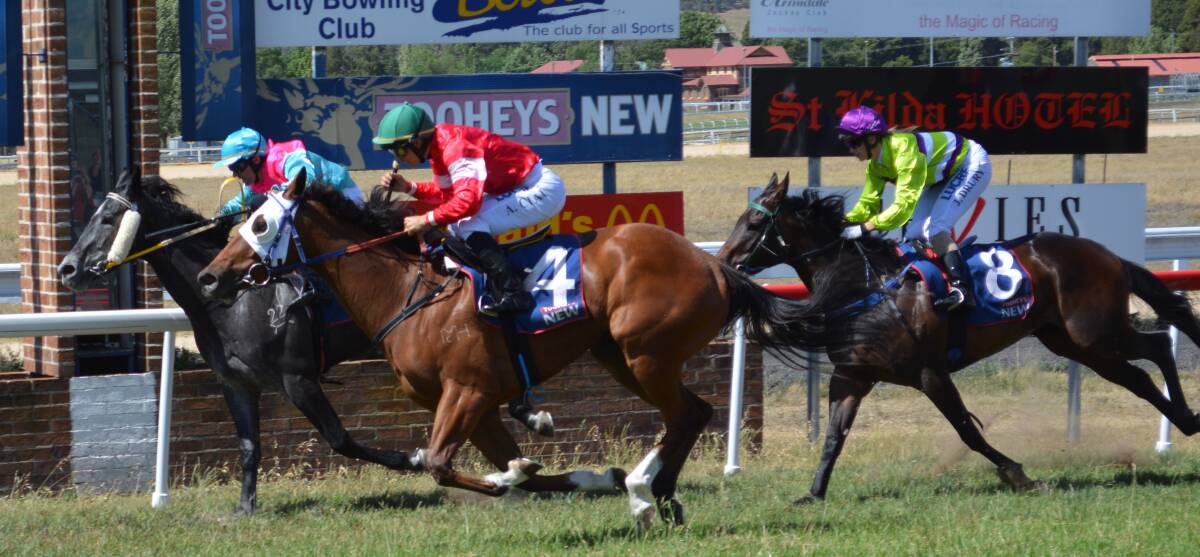 TIGHT FINISH: Albermarle, outside, beats Diva’s Dane by the slimest of margins in the third race at the Armidale Jockey Club’s White Ribbon race day on Saturday. Holy Bonsai is the horse trailing in third.
