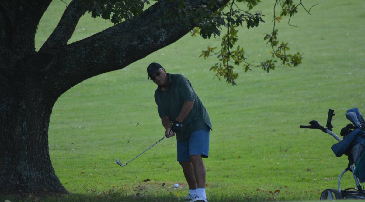 Errol Russell chips out from under a tree.