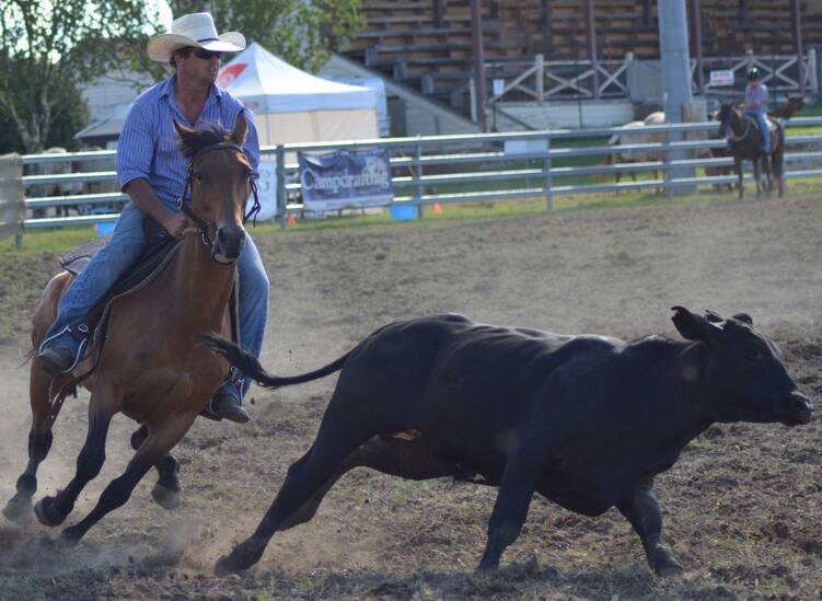 CHAMPION: Armidale rider Tom Armytage took out the $5000 Royal Hotel novice draft during the Australia Day long weekend Armidale Campdraft. He was just one of a number of local competitors to shine.