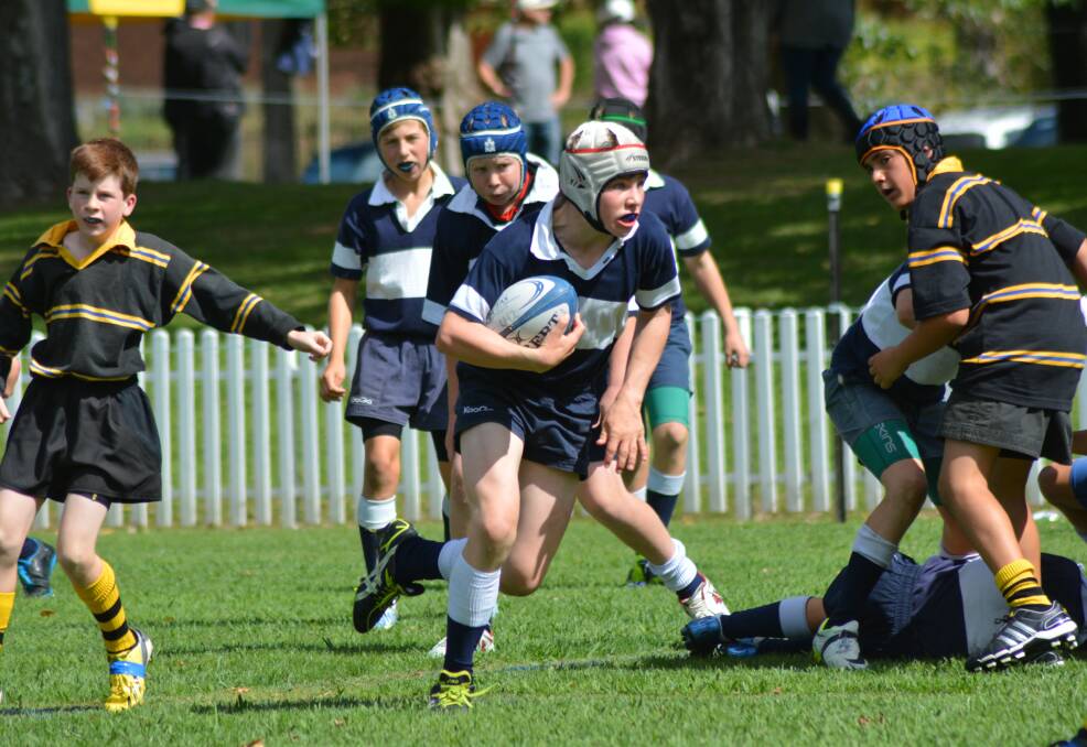 EFFORT: The Armidale School’s Tom Price is determined to break the defensive line during the TAS Rugby Carnival.