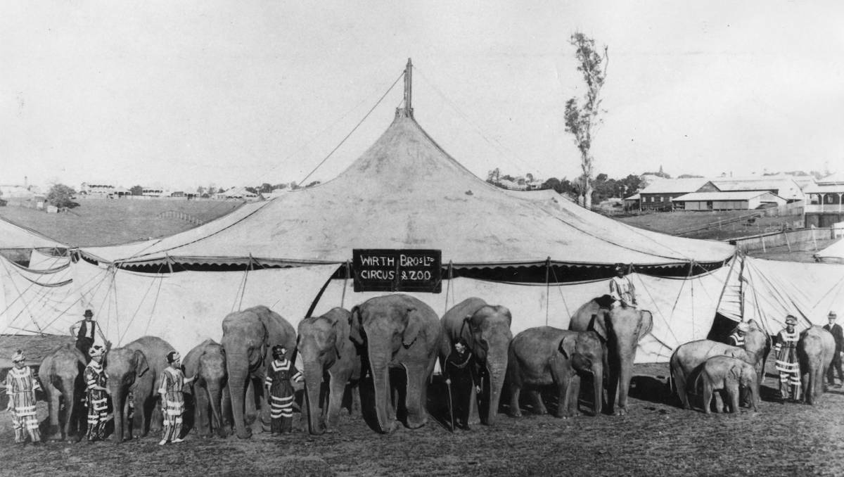 Wirth's Circus animals outside their touring tent on January 21, 1975.