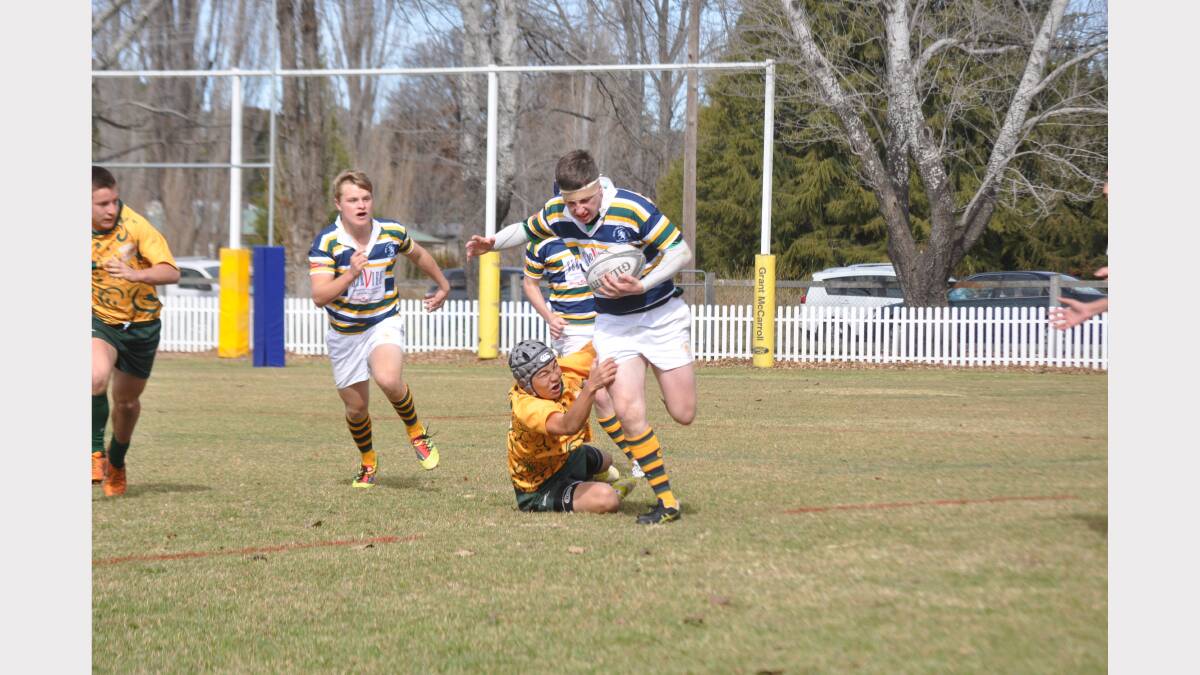 THE New England region has been the rugby nursery for some of the country’s best players and the next generation’s chances look just as bright.