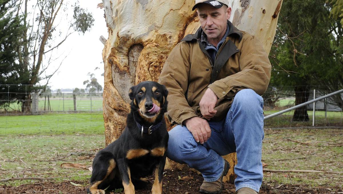 Gary Sharrock with Will, the seven-year-old kelpie who showed his talents from 12 weeks of age. PICTURE: Justin Whitelock, Ballarat Courier