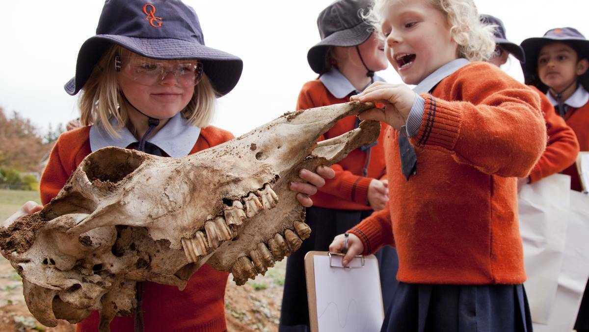 Lucy Martin and Jemma Curtin discover a T-Rex. Top left: Olsen Kennedy and Audrey Somerville get down to bare bones. Photos: Len Elliott, Orange. 