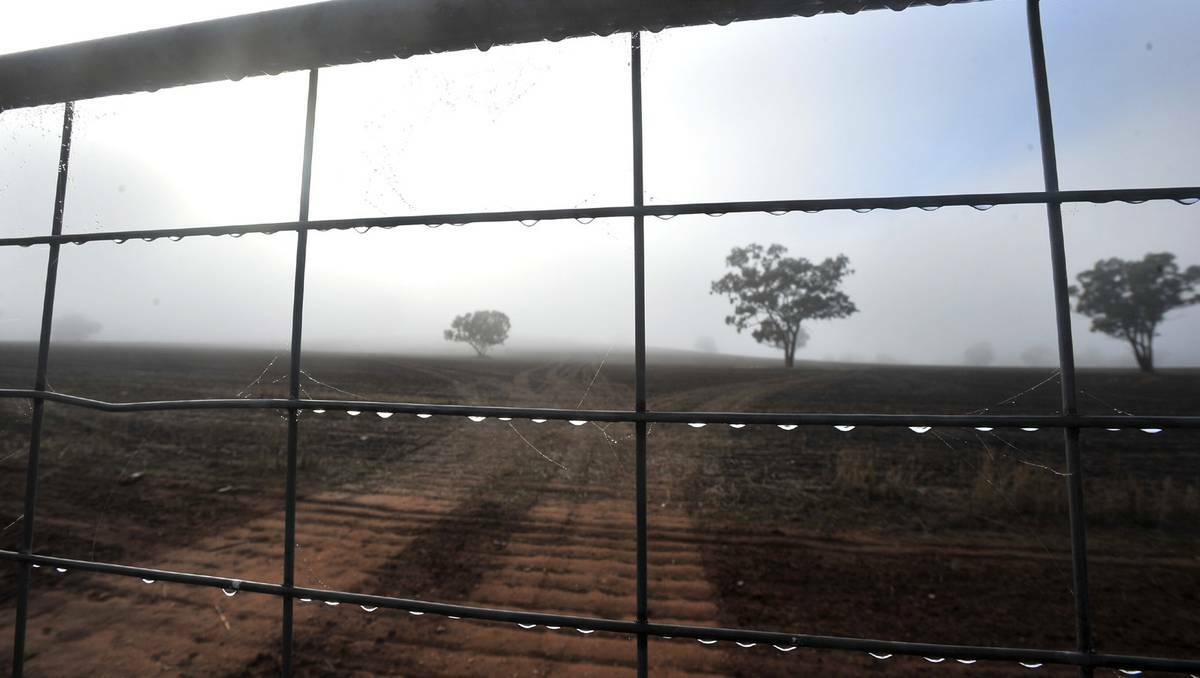 A foggy start to morning in at a property just outside Wagga. Picture: Addison Hamilton, The Daily Advertiser