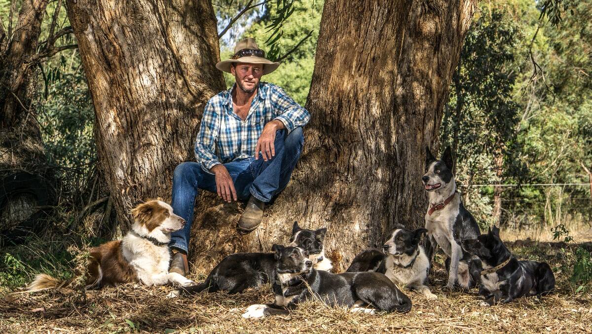 Formula for success:Bernie Shakeshaft and some of his dogs in the Backtrack Boys documentary. Picture: Umbrella Entertainment