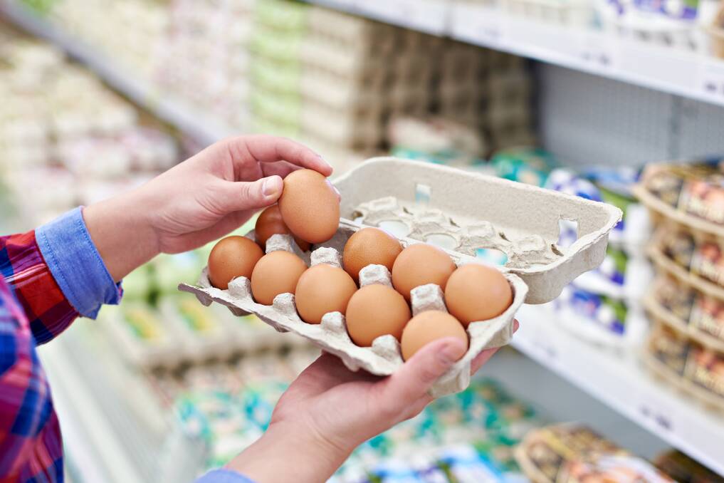 EGGSPECTATIONS: Shopping habits send a clear message about higher animal welfare standards.