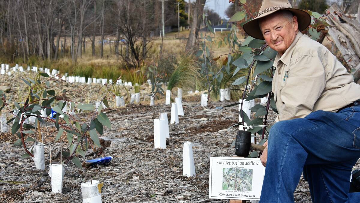 GROW: Armidale Urban Rivercare Group member Bruce Whan, pictured, at the rehabilitated creeklands behind Phil Wheaton Oval.