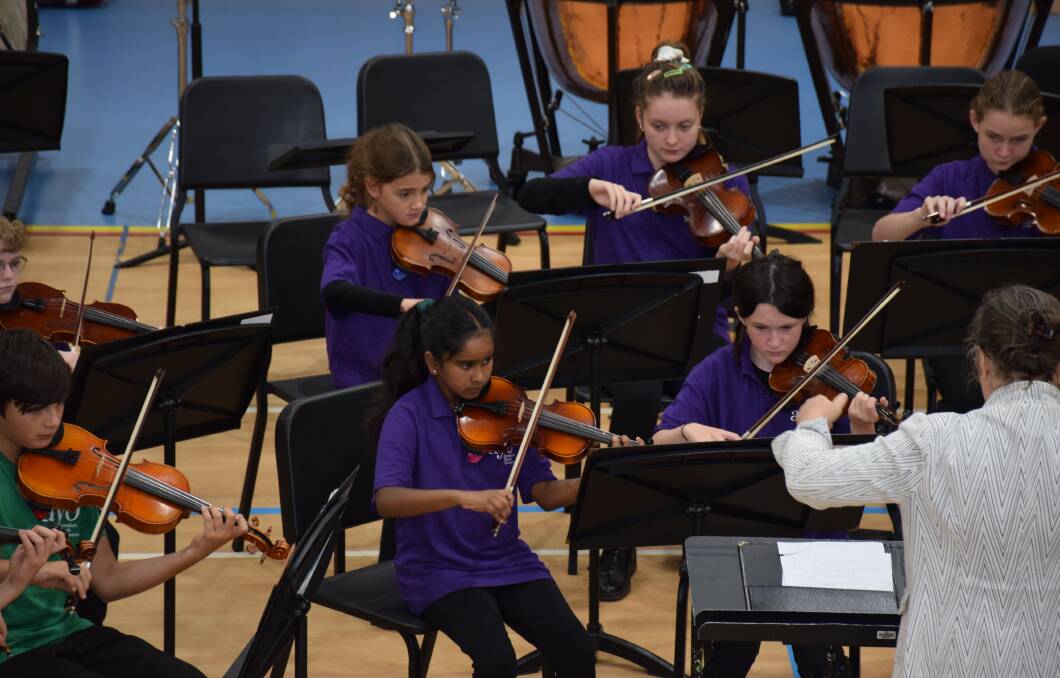 Armidale Youth Orchestras (AYO) Garden Party at Armidale PLC. Pictures supplied