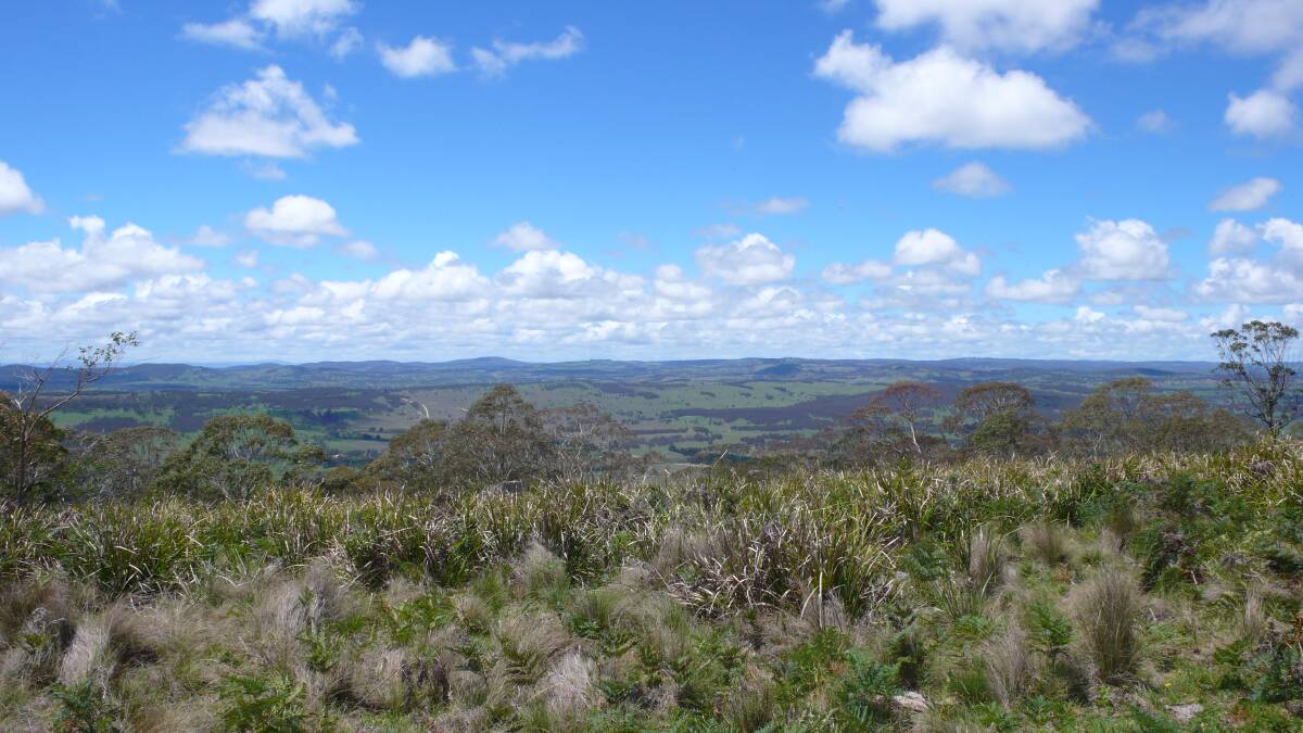 A view from Blue Mountain overlooking Winterbourne and Moona. Photo supplied