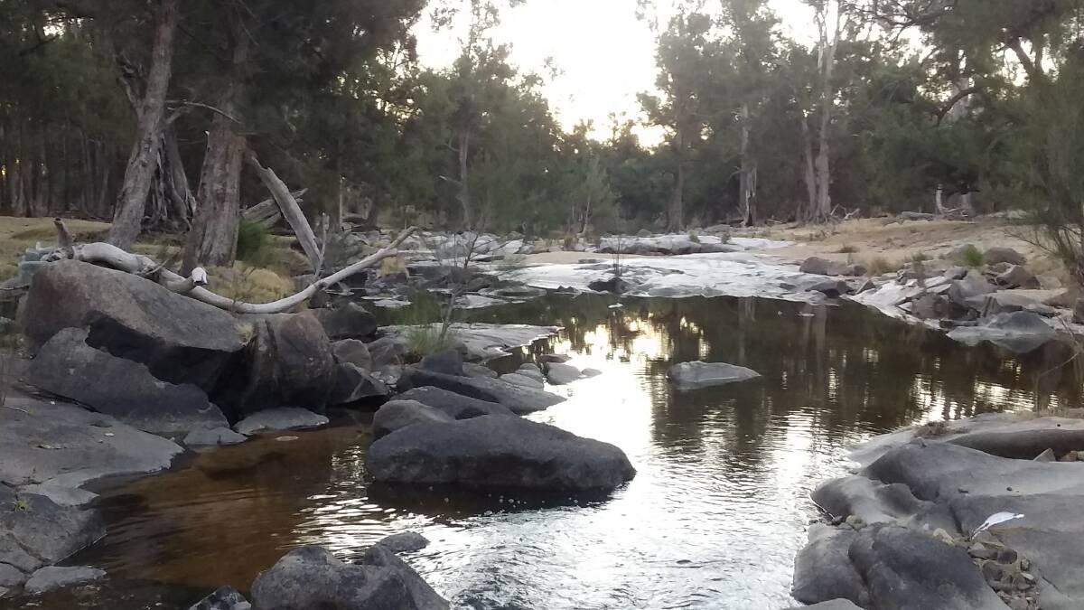 River flows: Springs have created some flow at the headwater of the Gwydir River. Photo: Joe van Eyk.