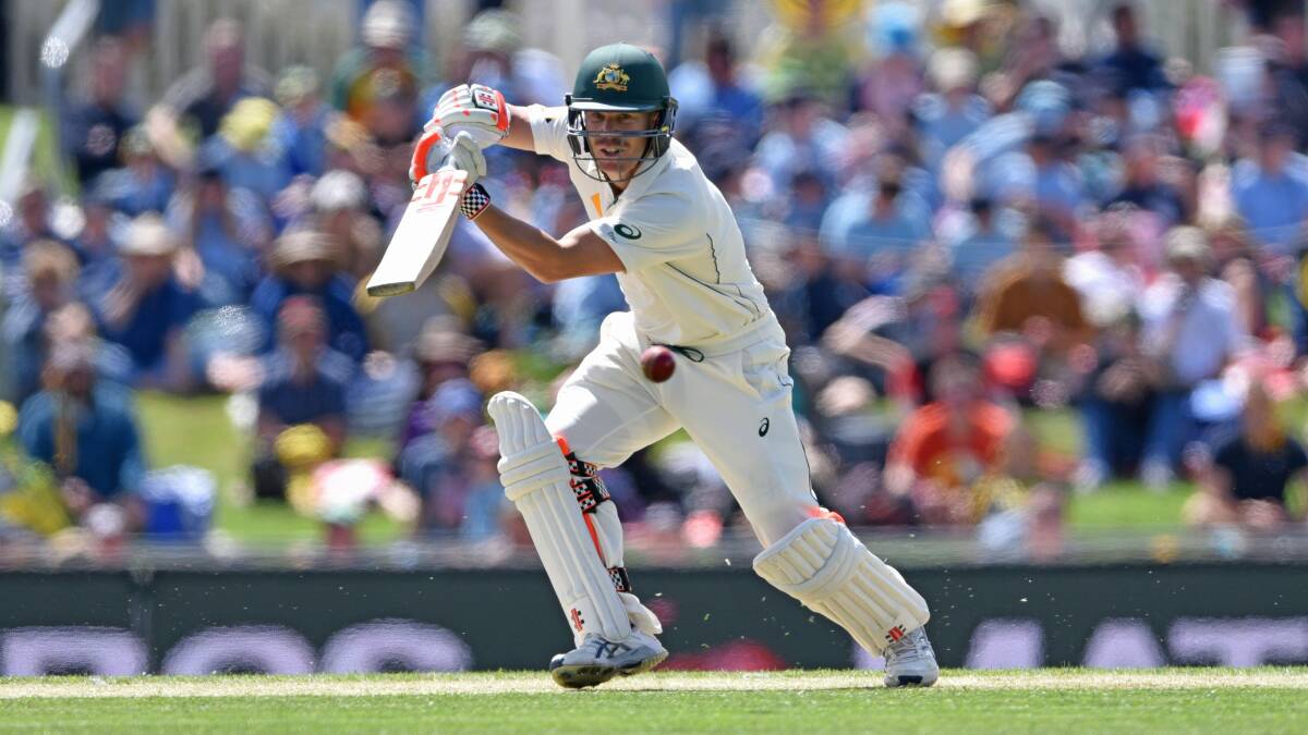 David Warner's Test career finishes at the SCG. Picture by Scott Gelston