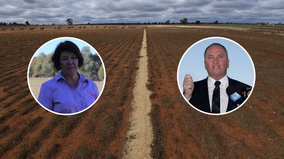 ALREADY CAMPAIGNING: The battle for New England has kicked off between Yvonne Langenberg and Barnaby Joyce.
