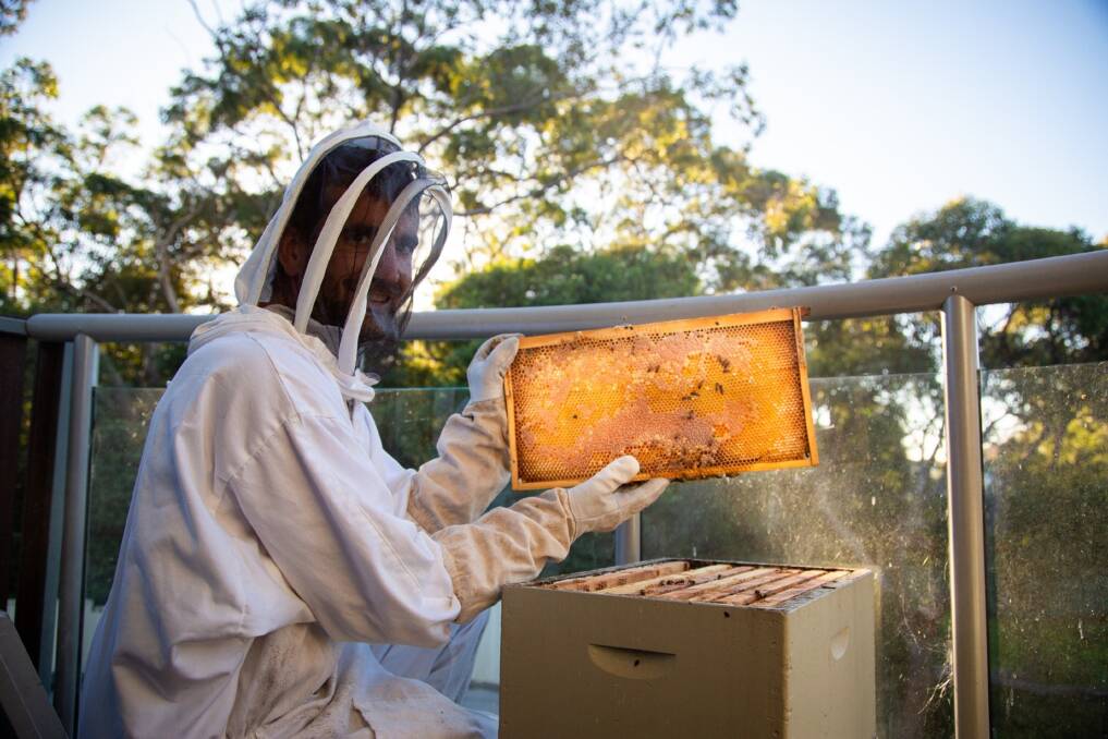 Neil Keene said bees work hard and have complex colonies. Picture: Jane Goldsmith 