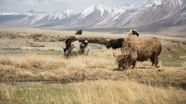 The Wakhan corridor was created as a buffer zone between tsarist Russia and the British Empire in the 19th century. Pic: Marta Pascual Juanola.