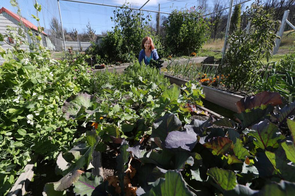 Brigid Jordan has loved tending to her garden after it was wiped out by fire. Picture: Robert Peet