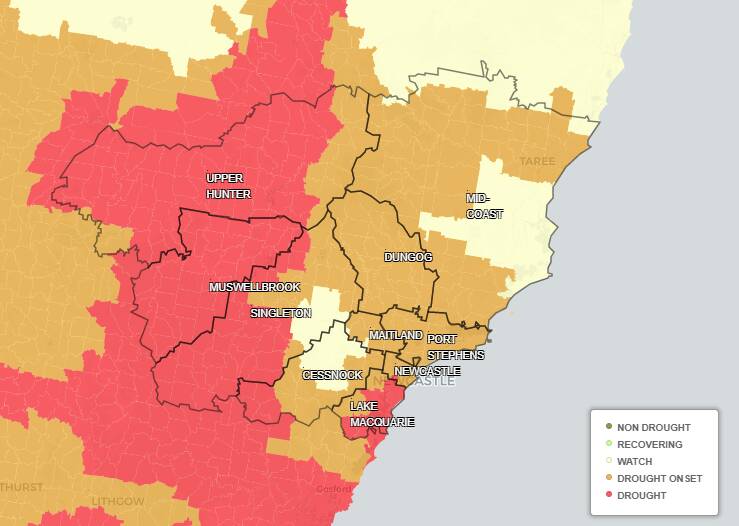 HUNTER DROUGHT: 33 per cent of the region is in drought, 39 per cent is at the onset of drought and 28 per cent is borderline and could slip into drought or recover. Source: NSW Department of Primary Industries