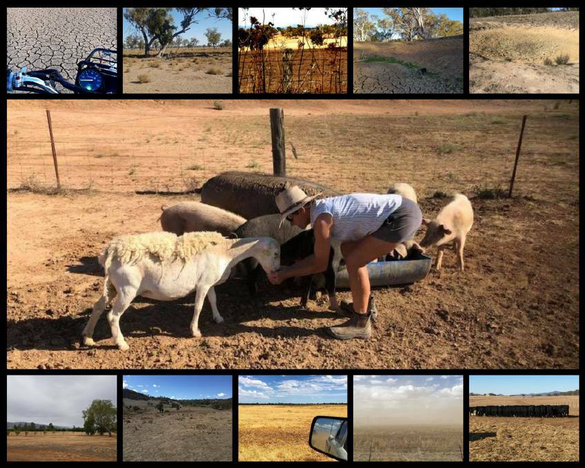 NEW ENGLAND-NORTH WEST: A glimpse of the drought in the New England-North West. Pictures: Top: Ren Simon, Chantelle Maree, Kelly Bridge, Kathy Gaynor, Tee Aye Ess. Middle: Lauren Lindfield. Bottom: Marilyn Smith, Tee Aye Ess, Ana Stasia, Fiona Margery, Chris Paterson.