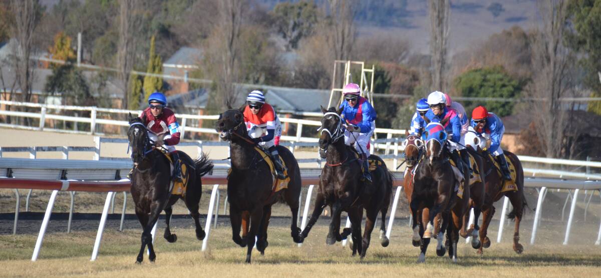 STRONG FINISH: Melted Moments came home strong to win race six in Armidale on Sunday. 
