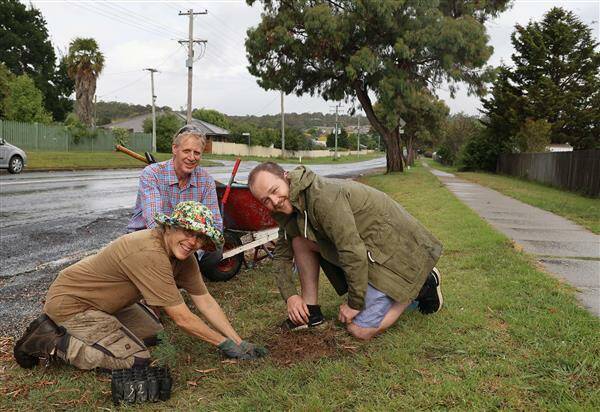 GREEN THUMBS: Helen Webb, Sebastian Hessleman and Dave Carr plant tube stock of Eucalyptus nicholii .