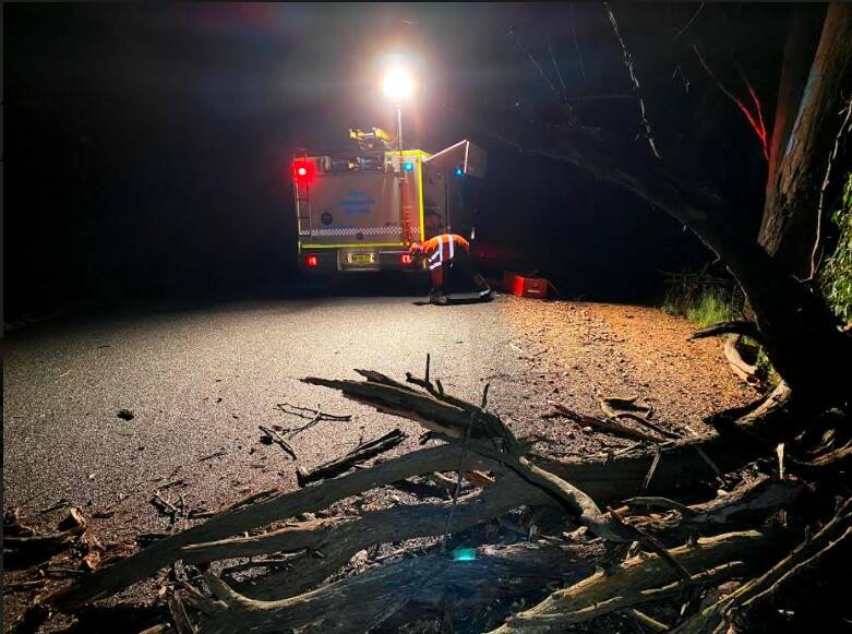 The Armidale SES was called out to Lynches Road to remove a tree from the road early this morning. Photo supplied.