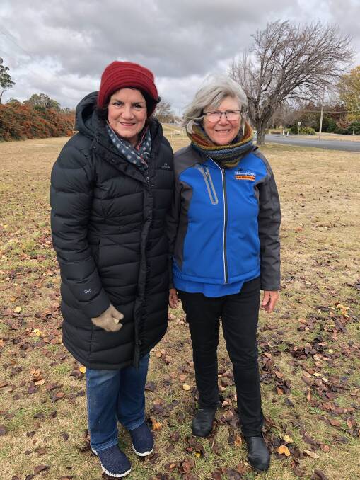  President of the Guyra Garden Club and member Sharon Bowles on part of the Memorial Avenue in Guyra