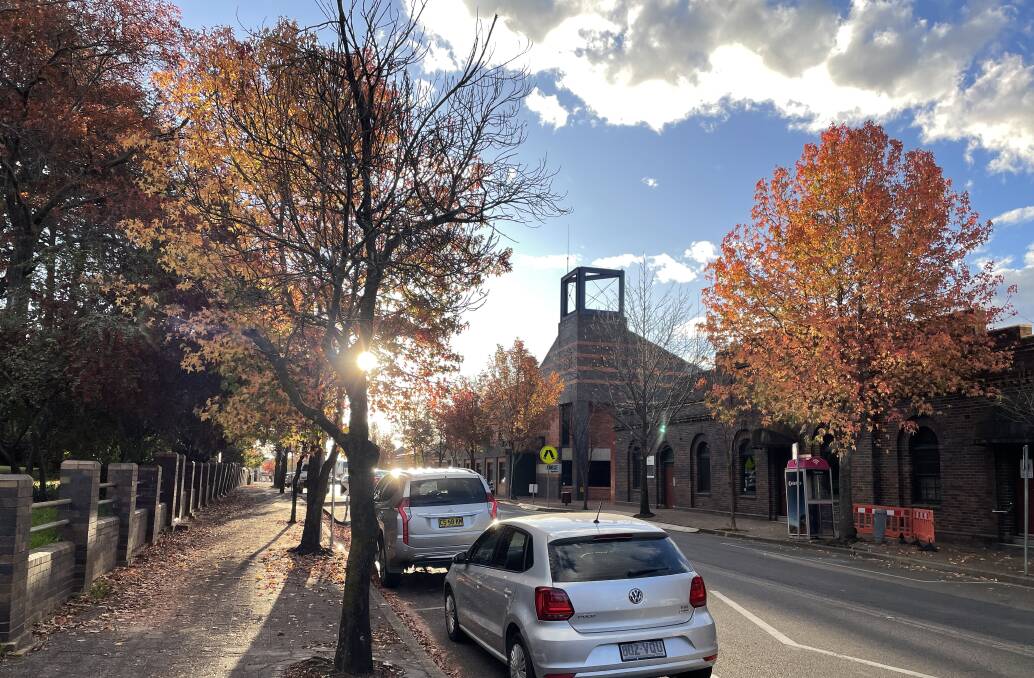 TREES IN TROUBLE: The stretch of Rusden Street where nine heritage trees will be removed in June 2022. Picture: Vanessa Arundale