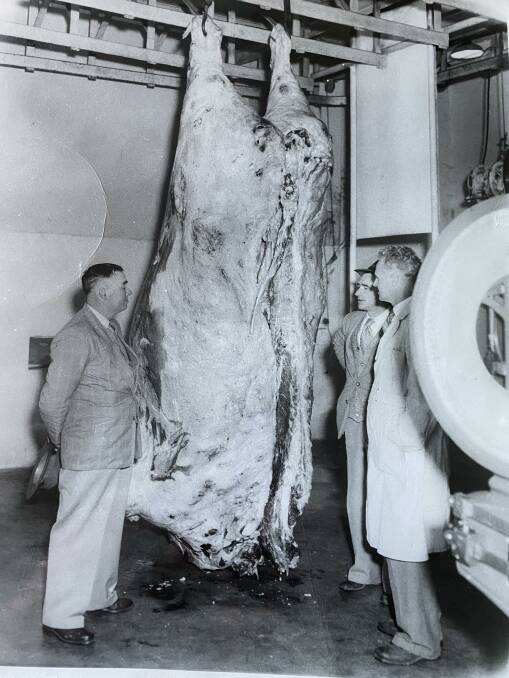 Edde Waugh (left) stands beside Big Ben's carcase hanging in a cool room at New England Meat Company.