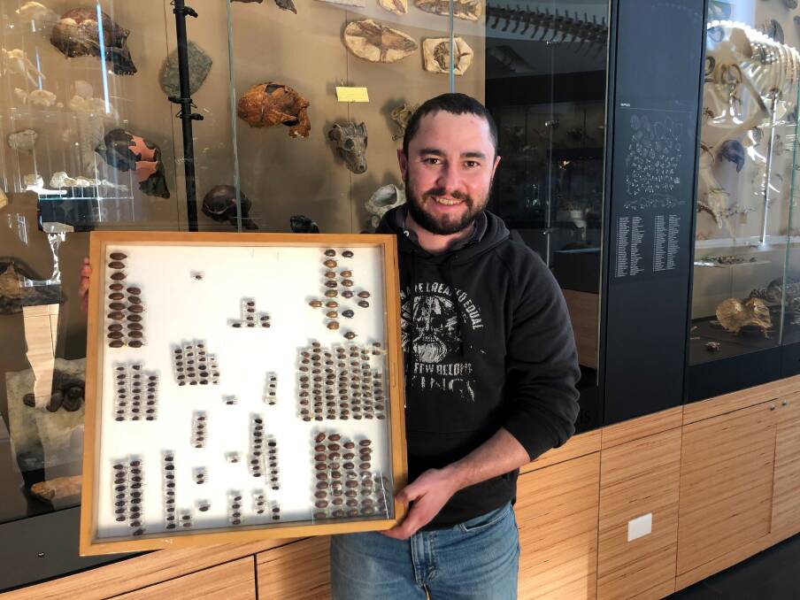 Thomas Heddle, UNE Armidale, as part of his PhD studies has noted good survival and repopulation building of several dung beetle species post drought. ACM photo.