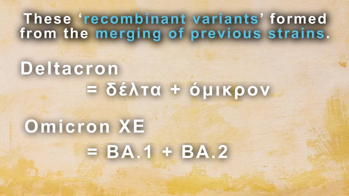MERGING VARIANTS: The Deltacron has combined from the previous Delta and Omicron variants while the Omicron XE is a combination of the BA.1 and BA.2 variants.