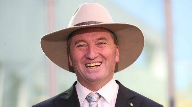 Acting Prime Minister Barnaby Joyce. Photo: Andrew Meares
