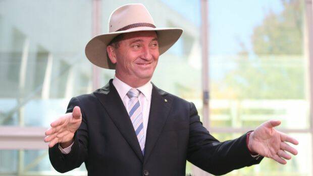 Acting Prime Minister Barnaby Joyce. Photo: Andrew Meares