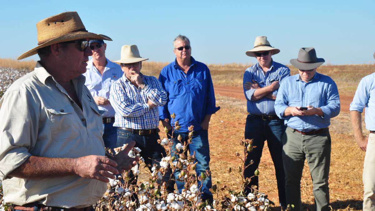 Keen farmers attend a field day at Daly Waters in the NT where trial crops are being successfully grown on wet season rain alone.
