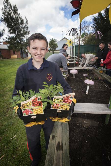 NEW CROP: Brandon McManus took part in Youth Frontiers last year, devising a project to grow and cultivate fresh veggies for people in aged care. Now another year of mentoring is about to start. Peter Hardin 140917PHA009