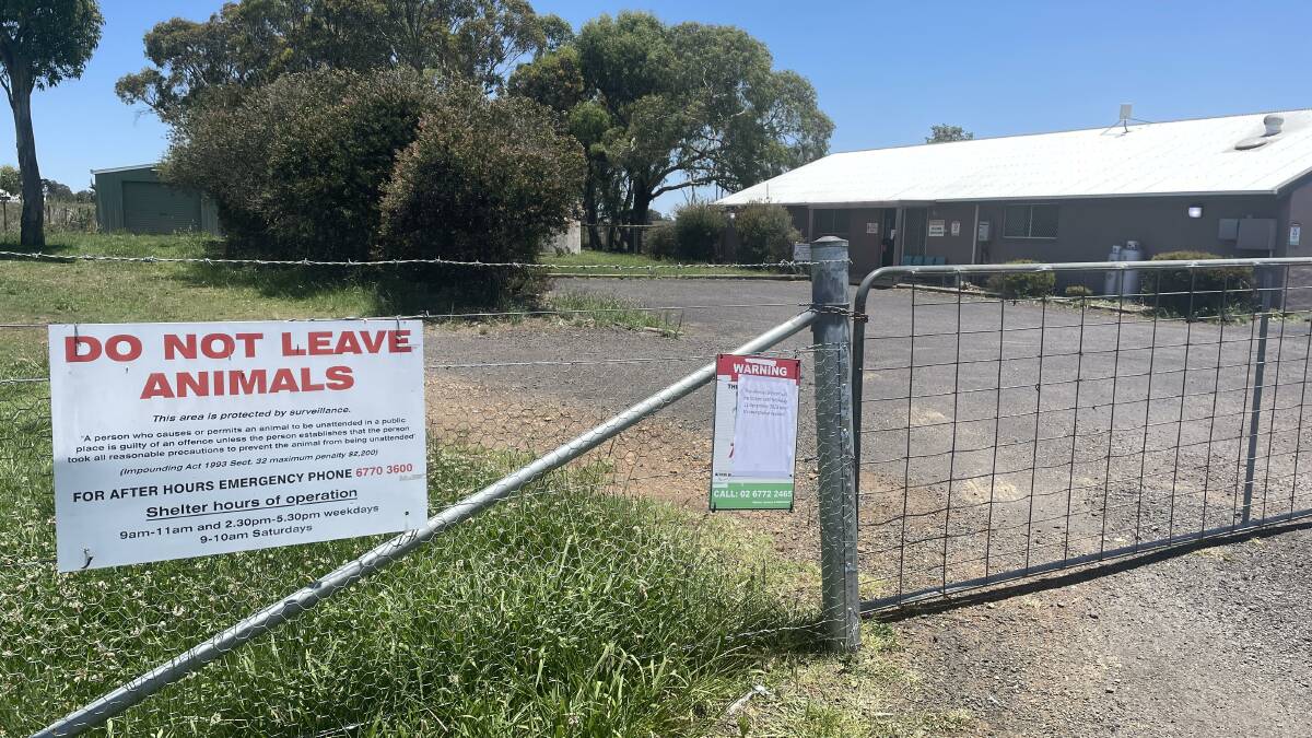 Armidale Companion Animal Shelter has been disinfected after a case of parvovirus.