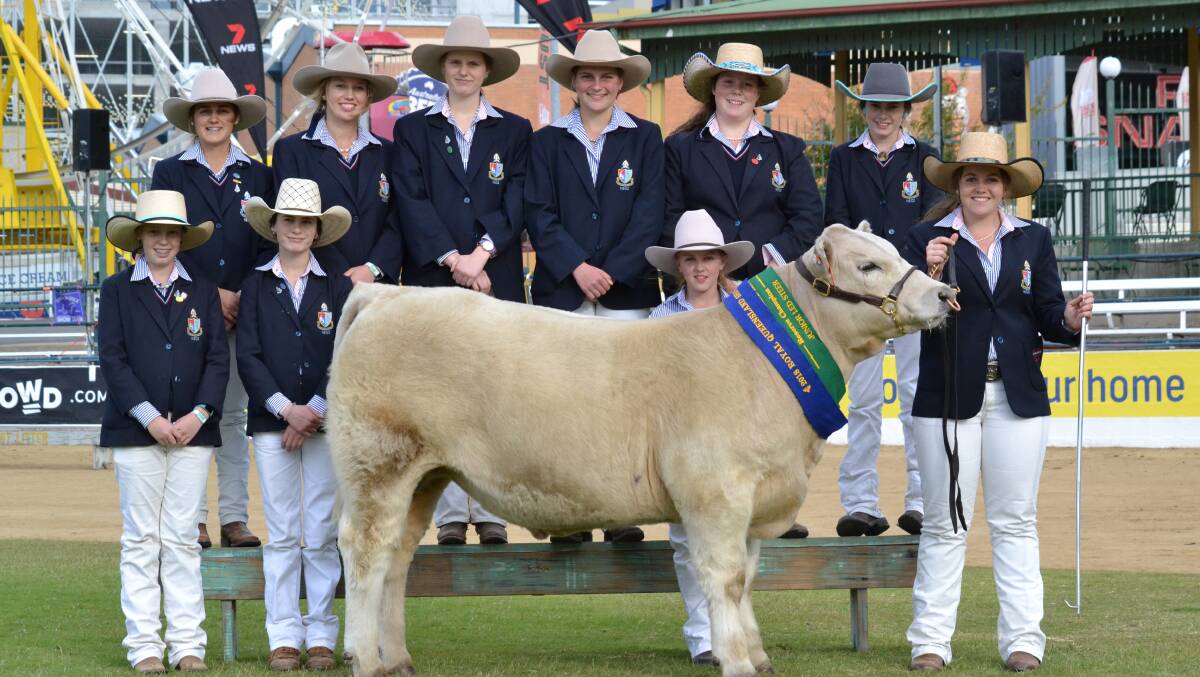 RURAL VISION: NEGS Cattle Team with a NEGS steer, winners at EKKA 2018. The school has seen strong growth in enrolments for 2019.