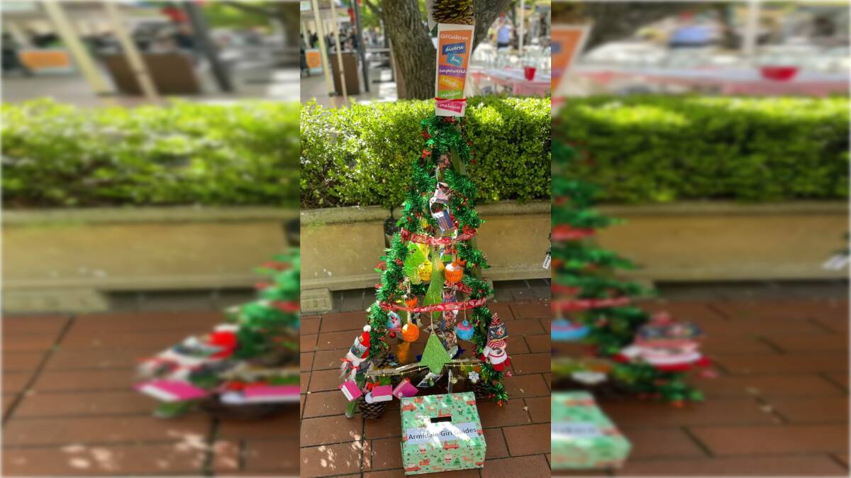 Armidale Girl Guides won the People's Choice Award with this tree, inspired by themes of diversity, fun, empowerment, help, resilience and inclusivity.