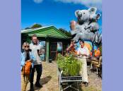 A giant koala keeps a watchful eye on displays by Southern New England Landcare, Australian Plants Society and Northern Tablelands Wildlife Carers.
