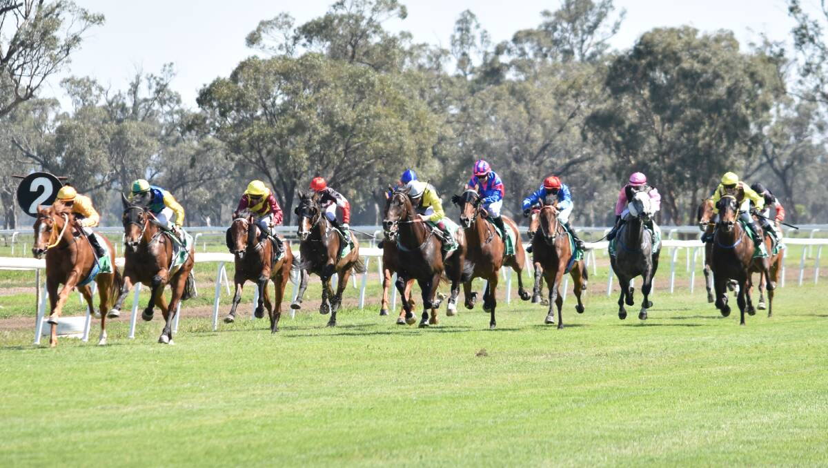 Eljetem screams home to win the Moree Cup over Melted Moments
