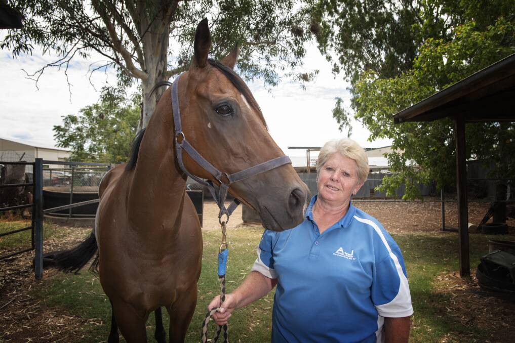 BRAD'S RACING AT ARMIDALE: Lesley Jeffriess with her gelding Call Me Brad at her property. Photo: Peter Hardin