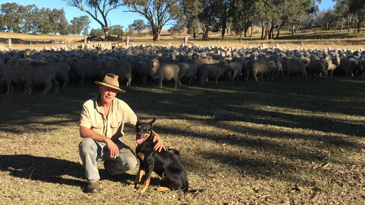 David Worsley, AWI North East NSW wild dog management coordinator, says you cannot put a price on the mental health impacts of wild dog predation or fully understand the impact they can have unless you have directly experienced it.