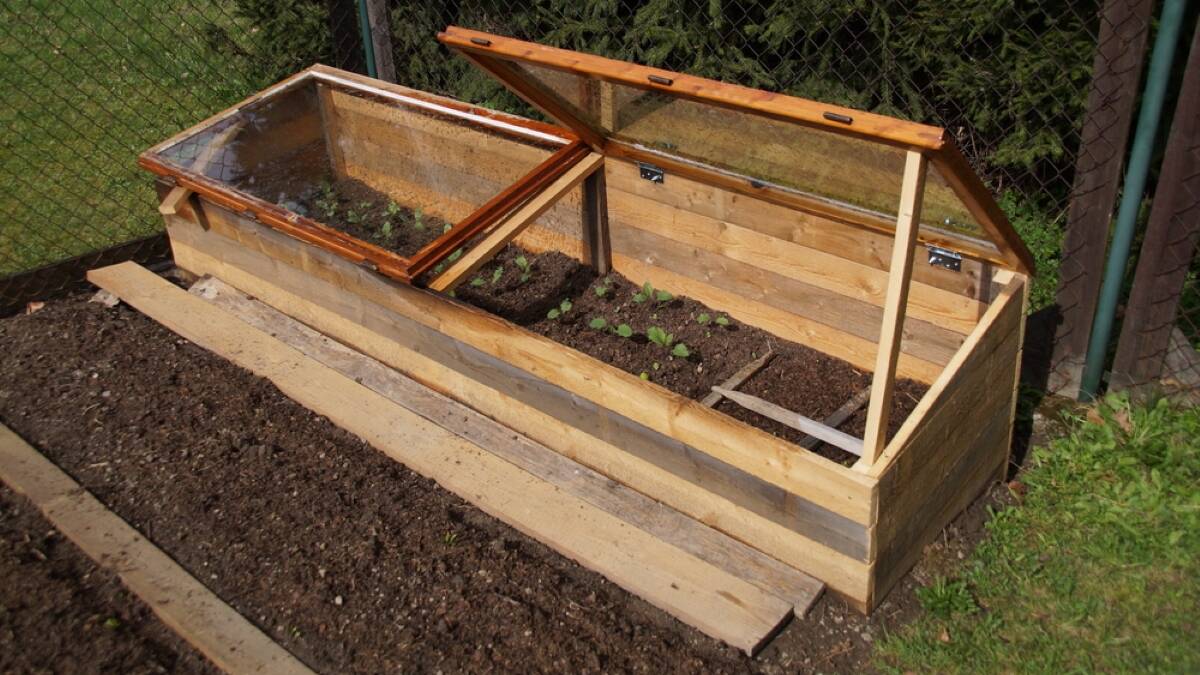 This cold frame has been built out of timber which was purchased new, and cut to fit windows that were already on hand.