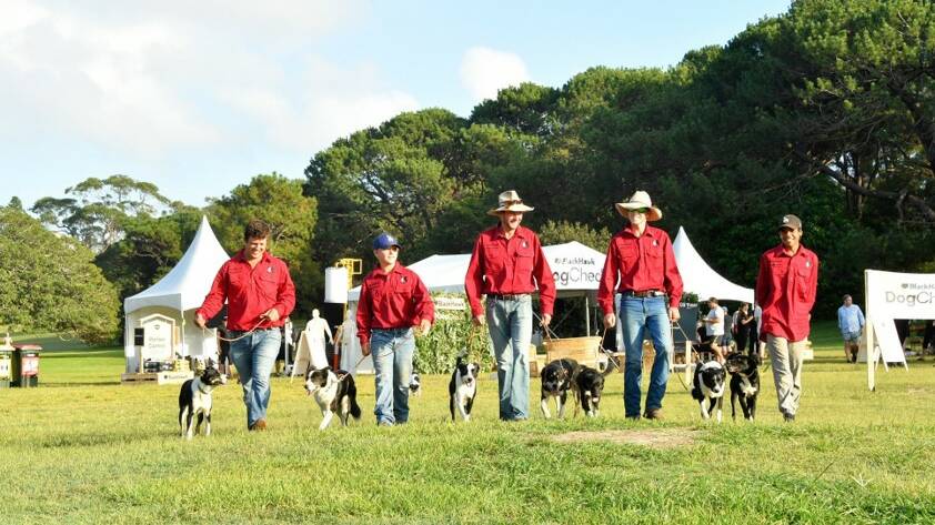 BackTrack boys step up to compete in inaugural cattle dog trials. Picture: Supplied