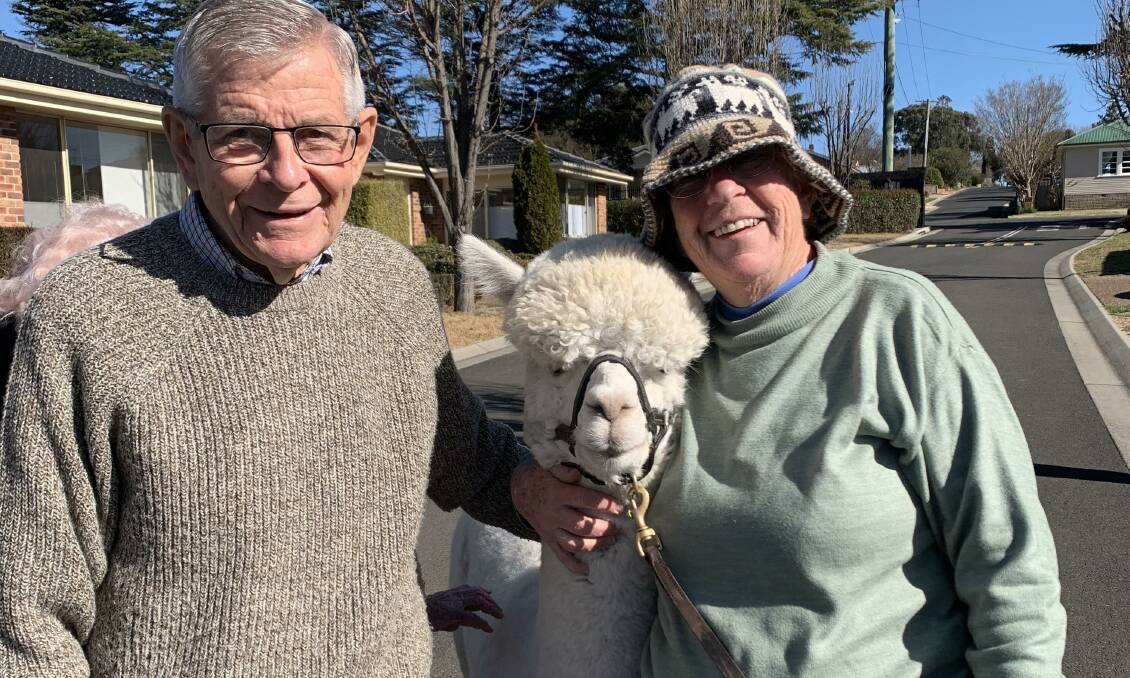 Newling Gardens residents Richard and Margaret Mills with Hephner the alpaca.