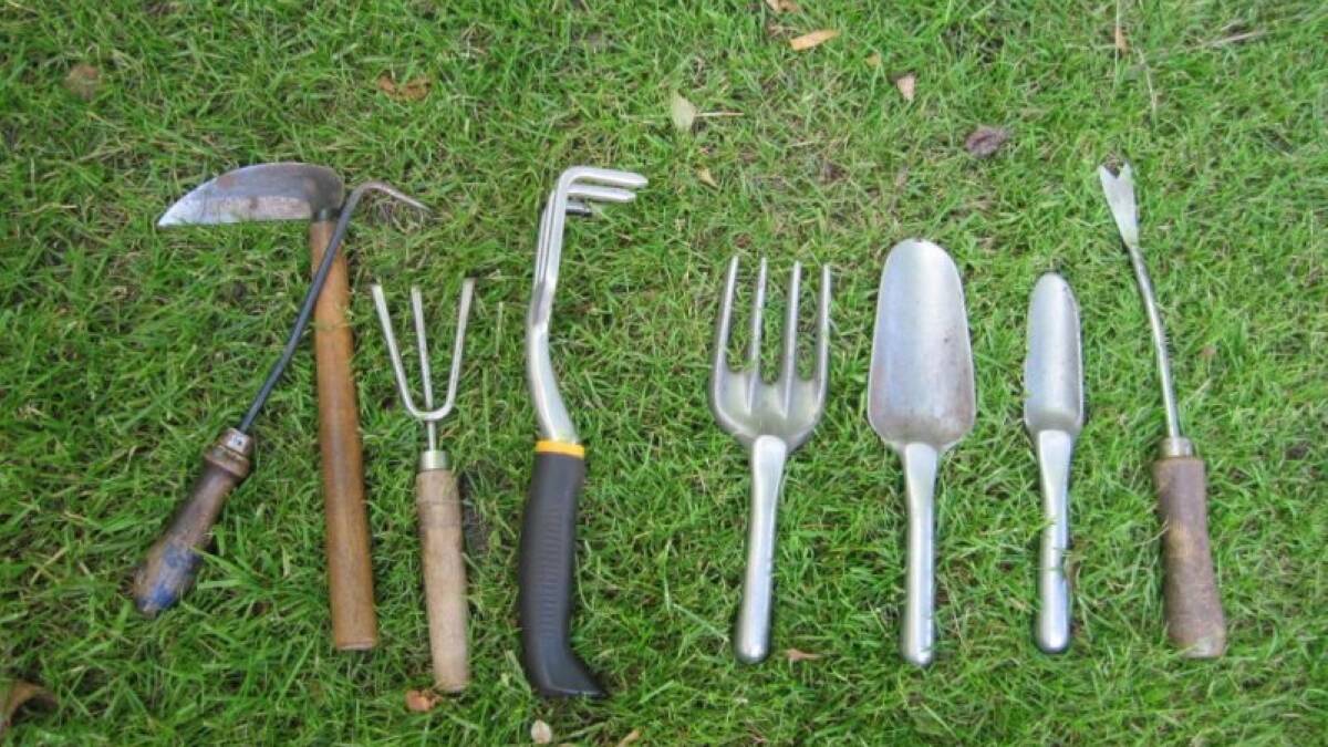 A selection of hand tools some definitely more useful and therefore well-used, than others, and some better for specific types of weeds - its all a matter of personal choice.