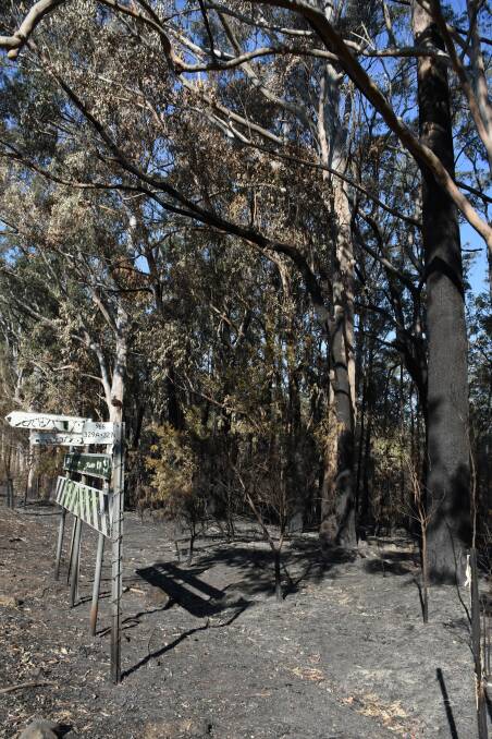 The Bees Nest bushfire burned through thousands of hectares of land near Armidale last year. 