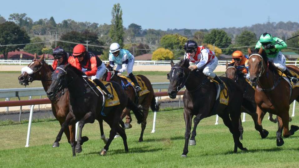 HIGHLY RATED: Armidale mare Exilia Miss, is favourite for Friday's $20,000 Mornington Prelude (2100m) at Tamworth.
