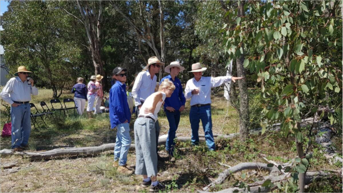 Z-NET and BackTrack team looking on as Bob Crouch indicates good firewood.
